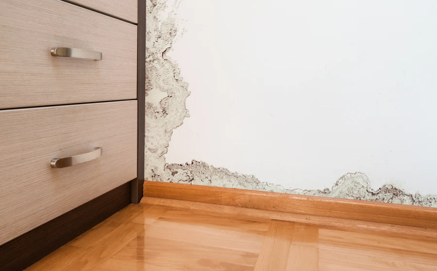 How Encapsulation Protects Your Home From Moisture Damage in Greensboro, NC How Encapsulation Protects Your Home From Moisture Damage in Greensboro, NC